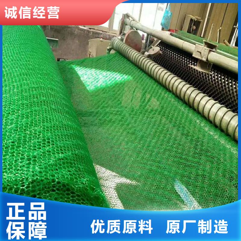 |岳塘|湘乡|娄底|长沙|湘西|怀化|岳阳|张家界金鸿耀【三维植被网】聚丙烯纤维精益求精