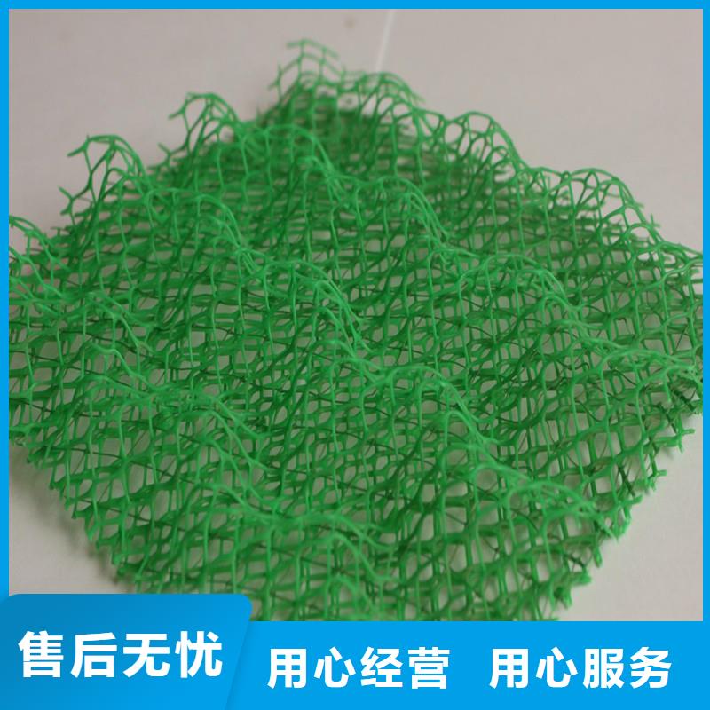 三維植被網【瀝青杉木板】廠家規格全