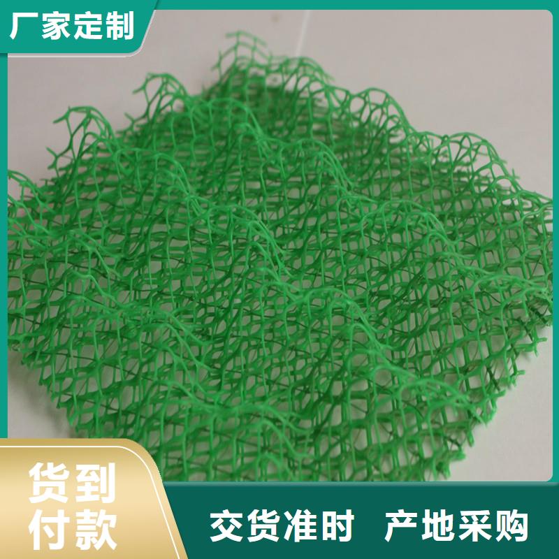 批发三维土工网植草多少钱一平方_诚信厂家