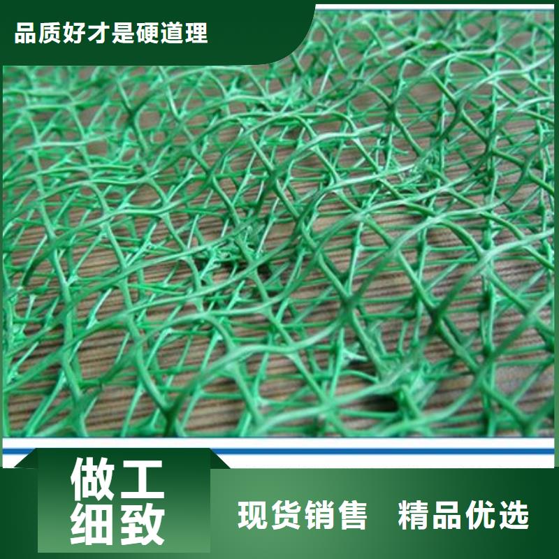 【三维植被网】土工膜高标准高品质