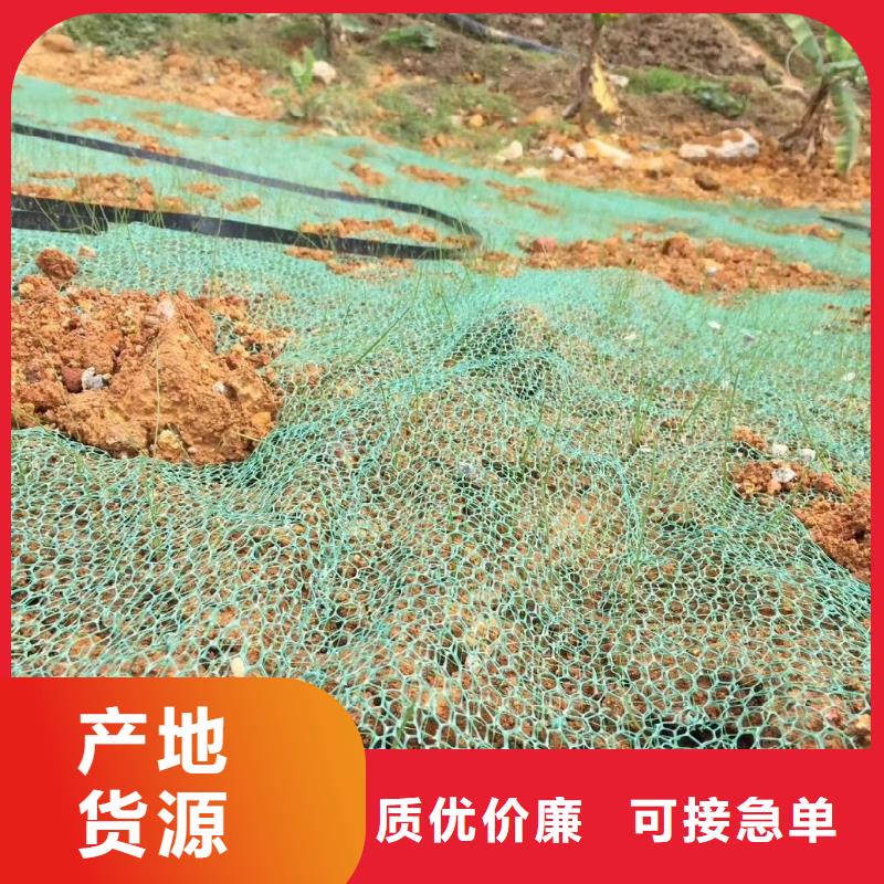 【三维植被网】止水铜片精选货源