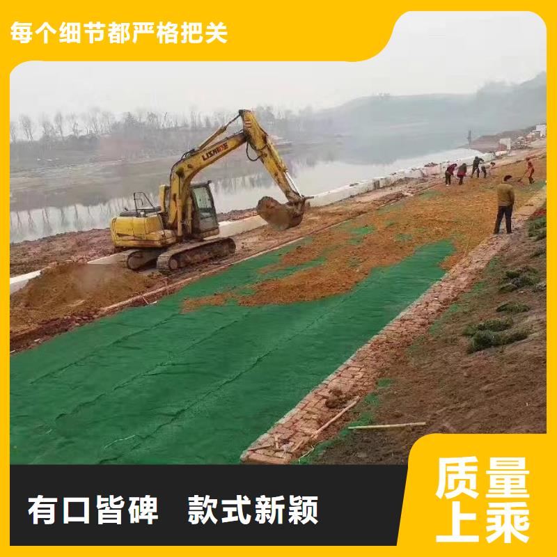 【三维植被网】-沥青木丝板一个起售