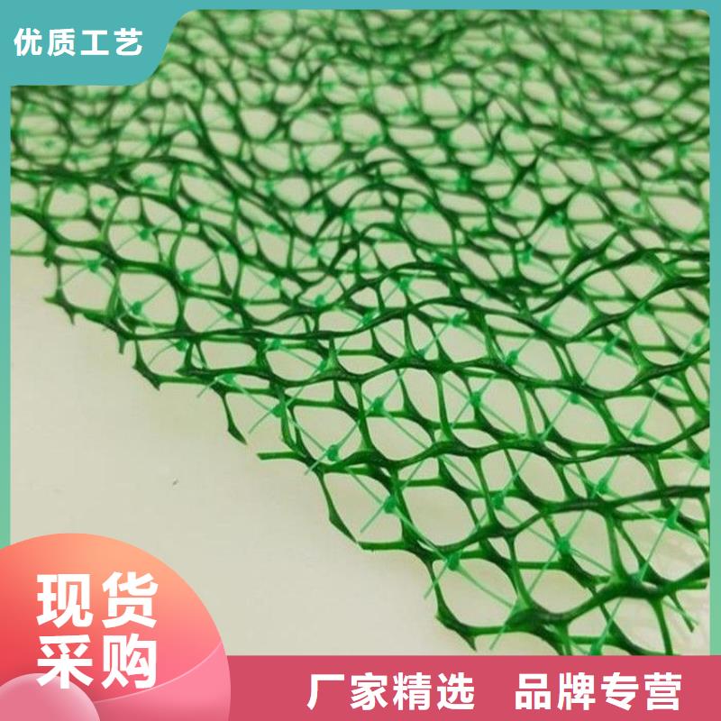 三维植被网-【紫铜止水片】适用范围广