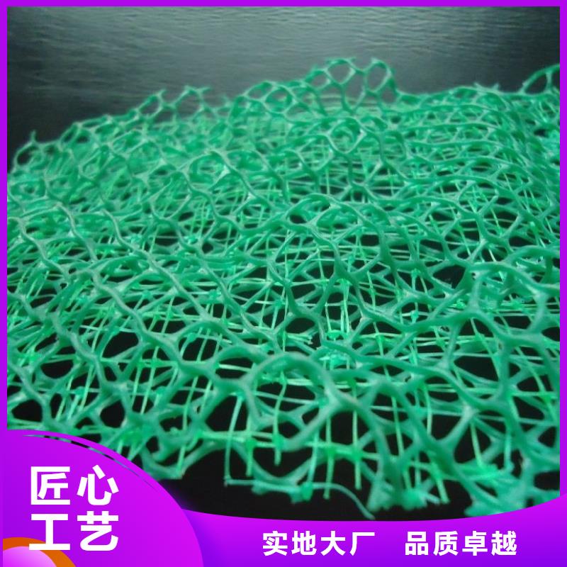 三维植被网_聚丙烯单丝纤维支持拿样