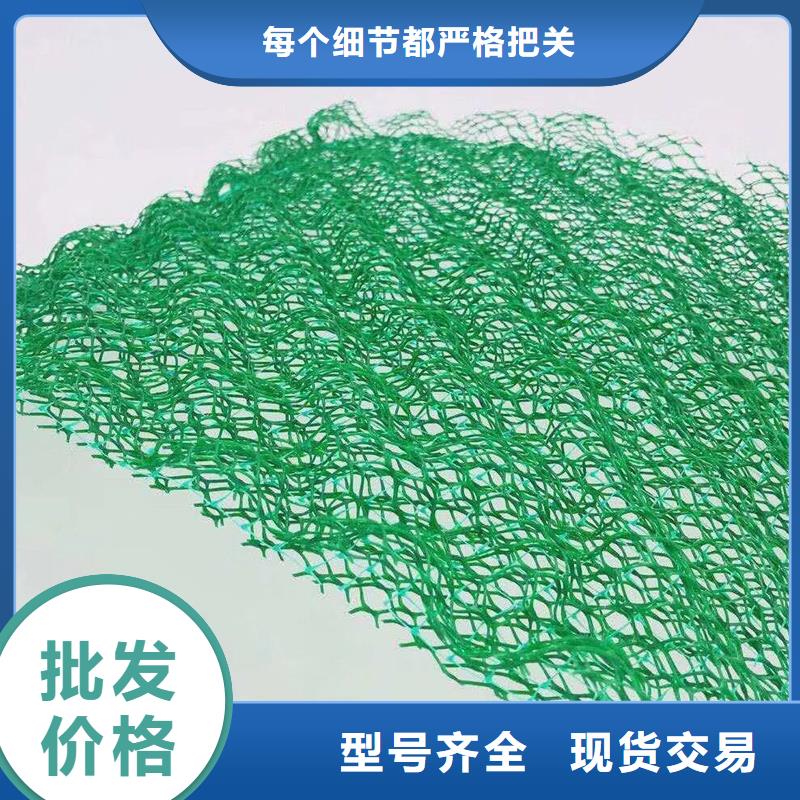 |岳塘|湘乡|娄底|长沙|湘西|怀化|岳阳|张家界金鸿耀【三维植被网】聚丙烯纤维精益求精