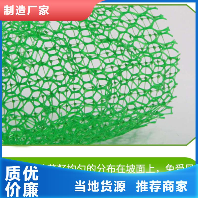 【三維植被網】土工膜高標準高品質