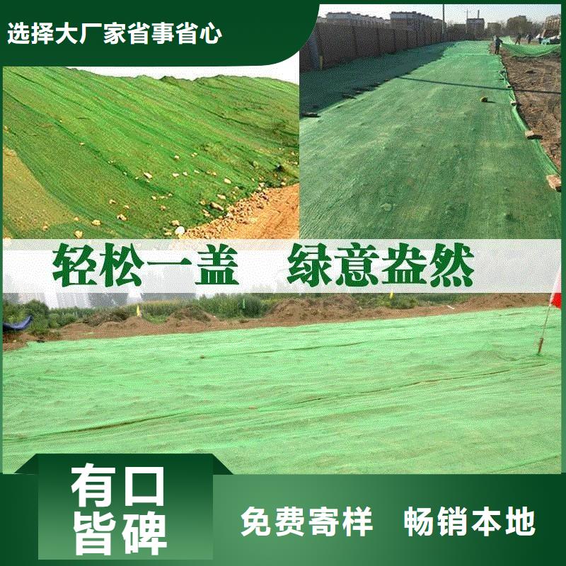 三维植被网聚乙烯醇纤维多行业适用