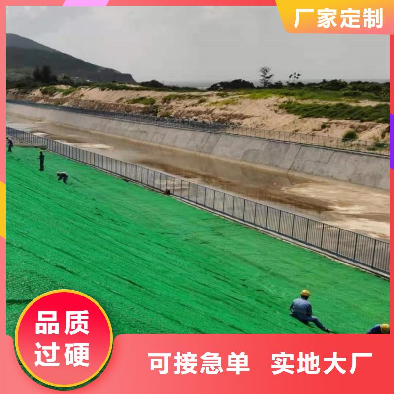 三维植被网多少钱一平大品牌有保证