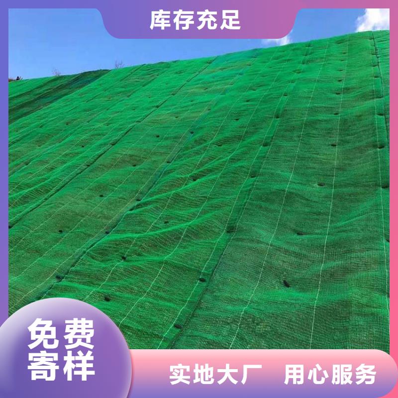 【三维植被网】渗排水网垫老客户钟爱