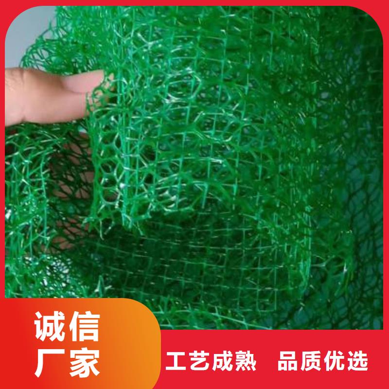 三维植被网-【紫铜止水片】适用范围广
