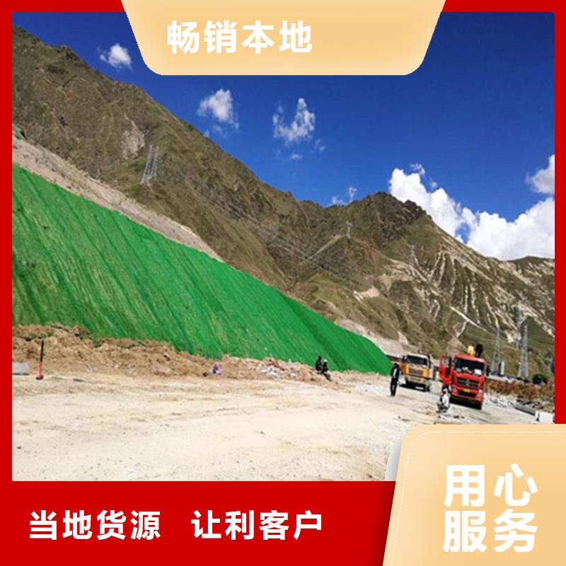 三维植被网-【聚乙烯醇纤维】好产品价格低