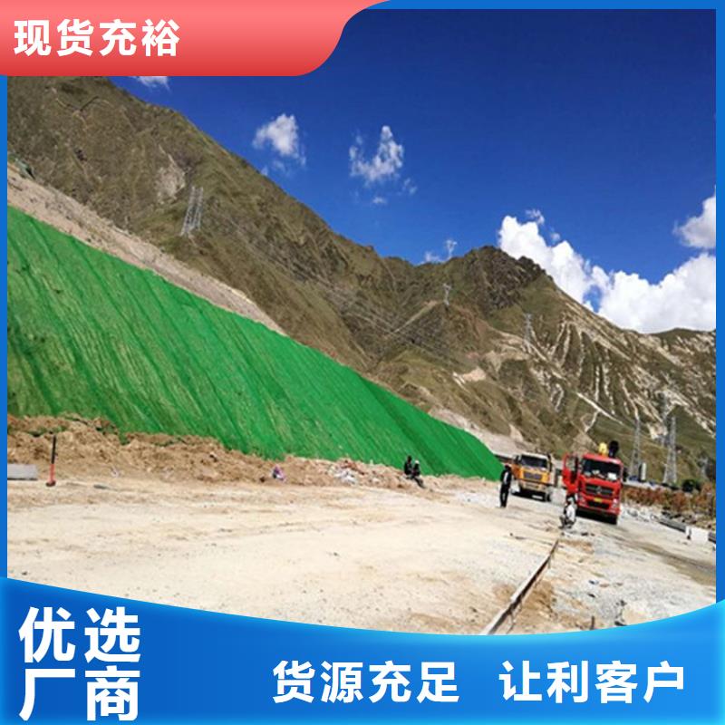 三维植被网_聚丙烯单丝纤维支持拿样