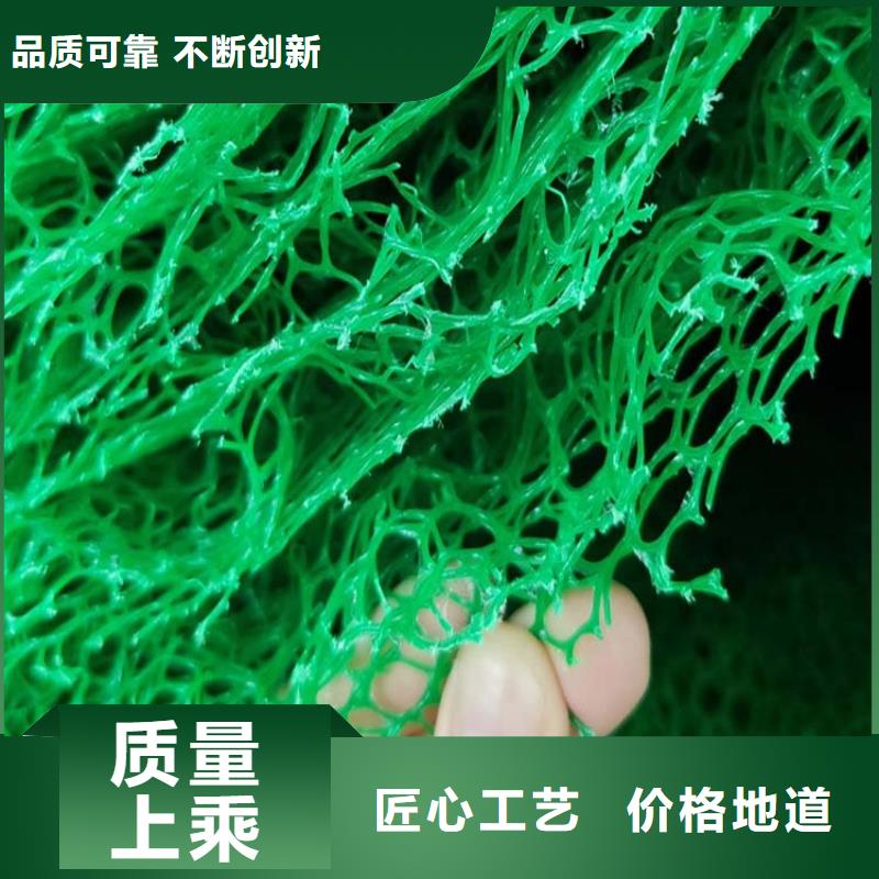 金鸿耀【三维植被网】聚丙烯纤维精益求精-紫铜止水片