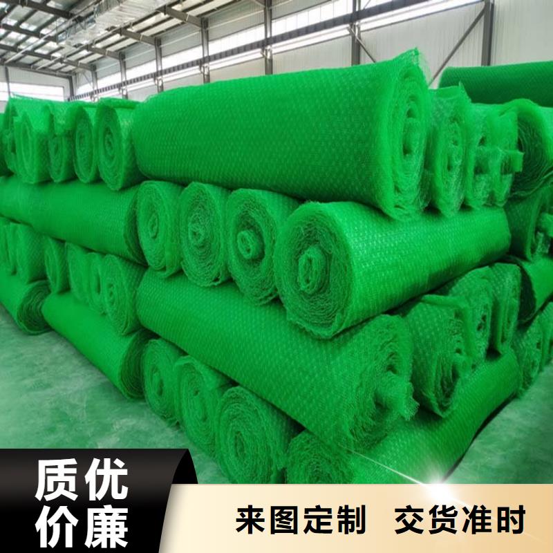 三维植被网_聚丙烯单丝纤维支持拿样