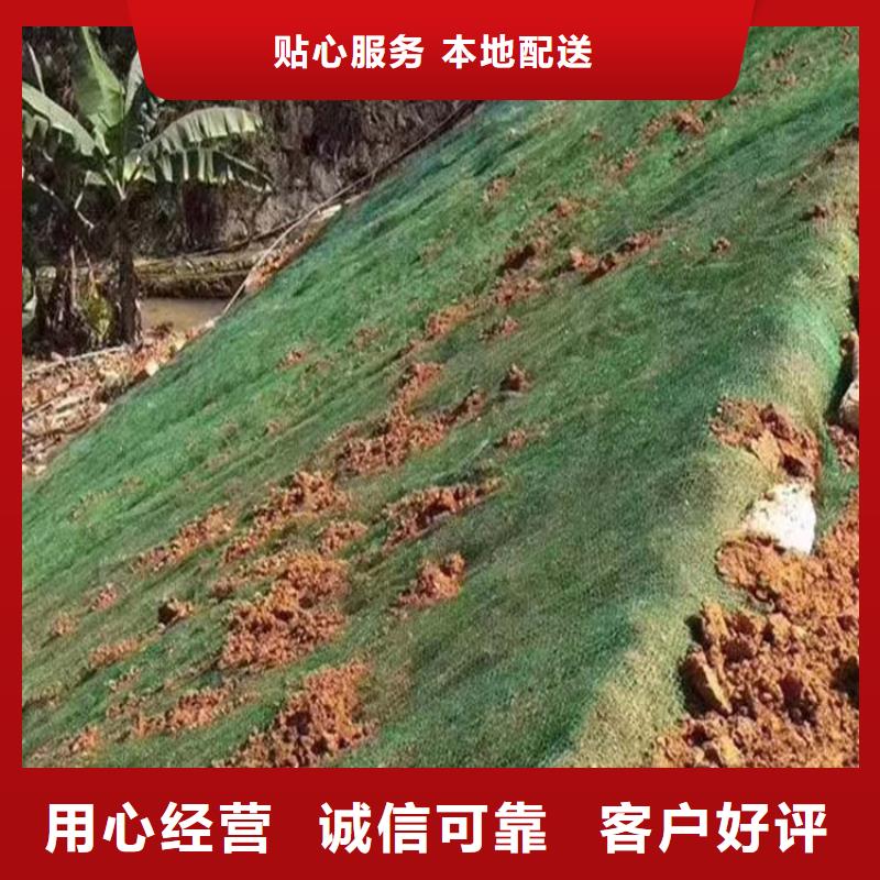 【三维植被网】-沥青木丝板一个起售