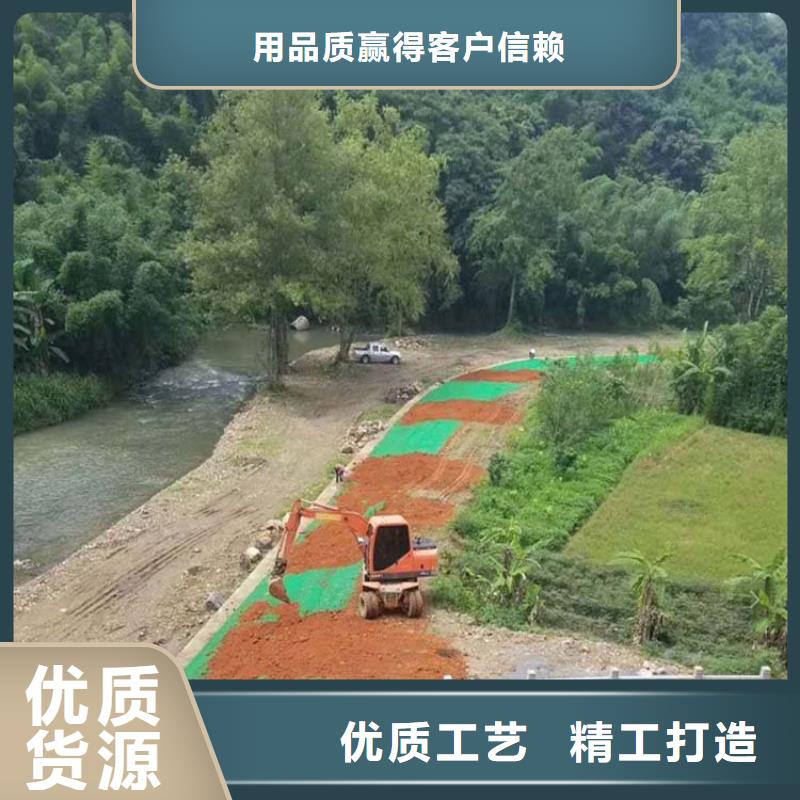 【三维植被网】渗排水网垫老客户钟爱