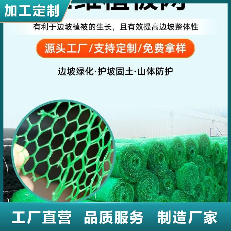 三维植被网-【聚乙烯醇纤维】好产品价格低