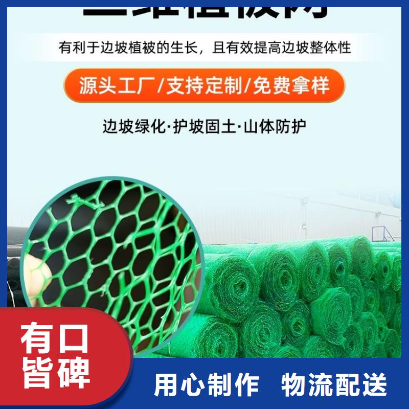 |岳塘|湘乡|娄底|长沙|湘西|怀化|岳阳|张家界金鸿耀【三维植被网】聚丙烯纤维精益求精