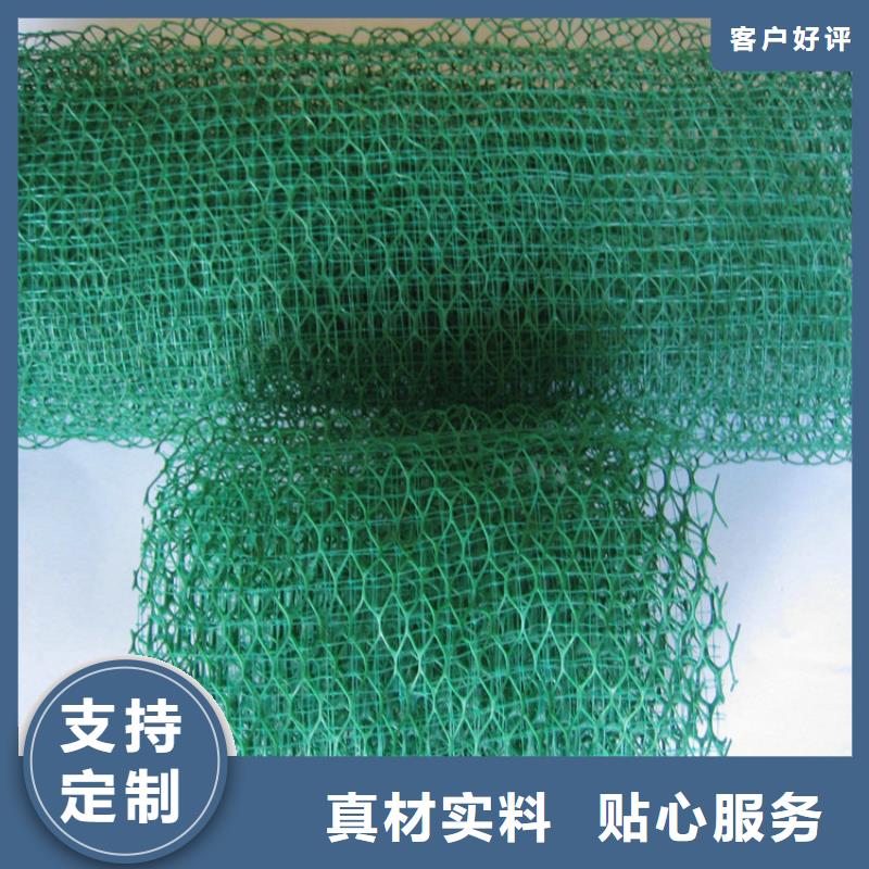 三维植被网-【聚乙烯醇纤维】好产品价格低