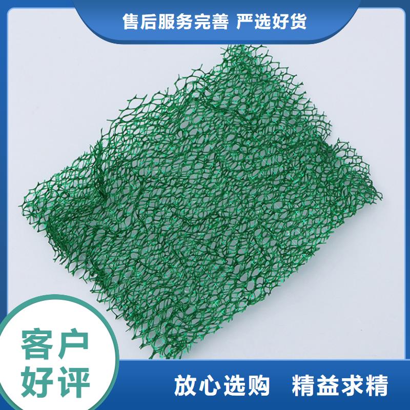 三維植被網-止水銅片廠家廠家案例