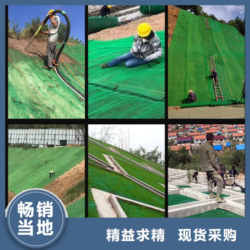 三维植被网-【聚乙烯醇纤维】好产品价格低