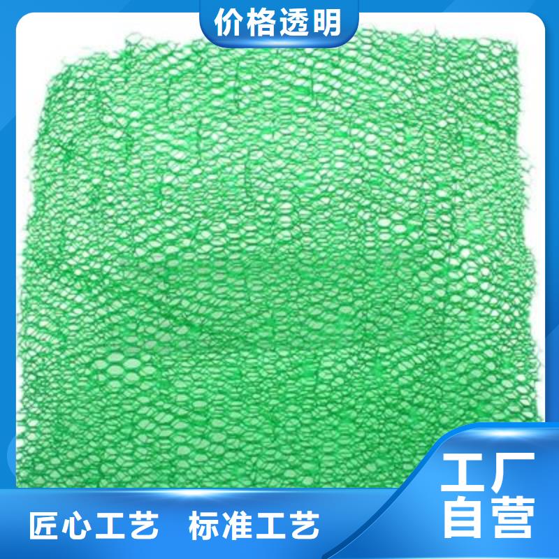 三维植被网-铜止水生产厂家好产品好服务