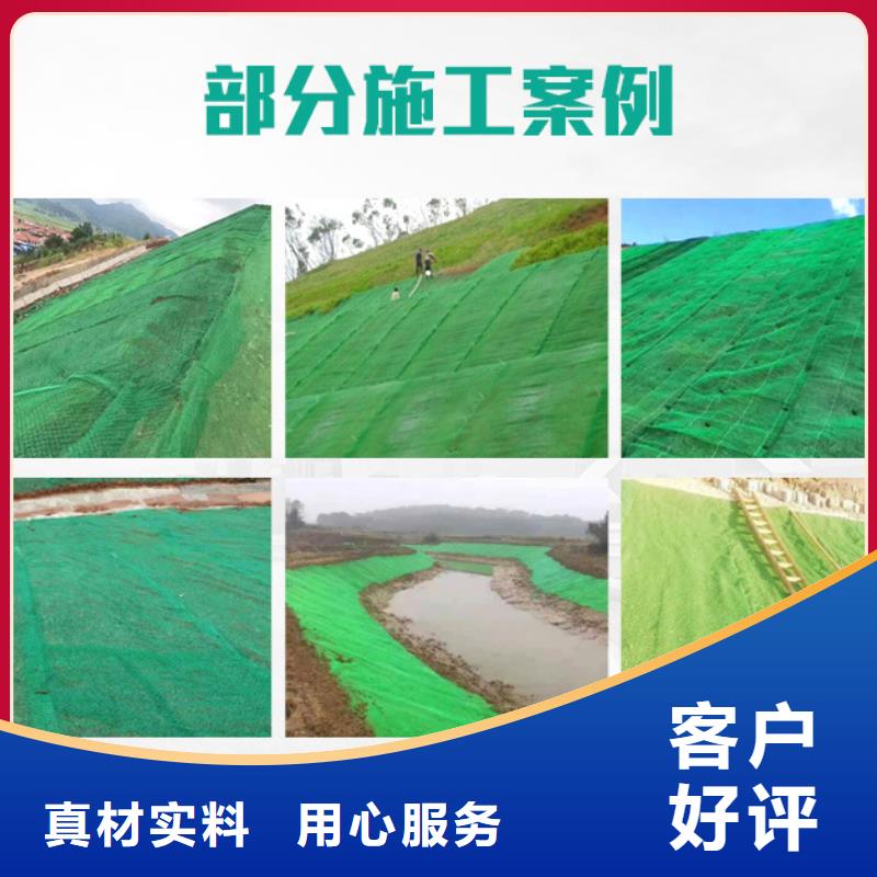 【三维植被网】土工膜高标准高品质