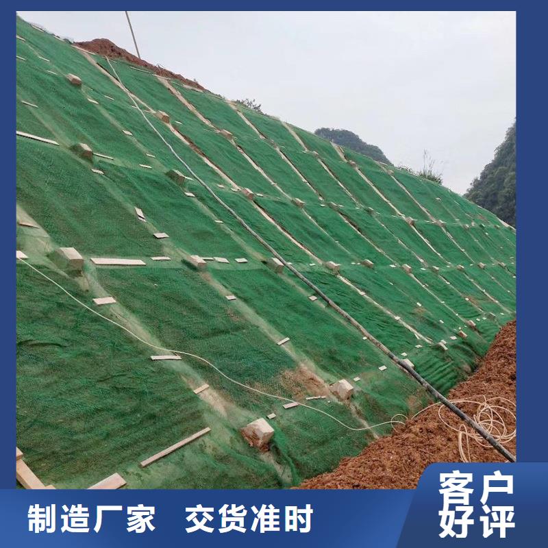 【三维植被网土工膜品质不将就】