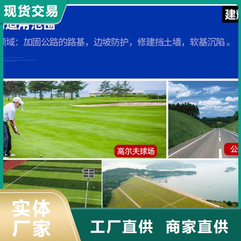 【三维植被网】-沥青木丝板一个起售