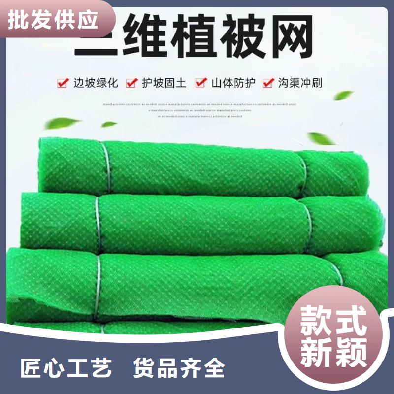 三维植被网铜止水生产厂家质检合格发货