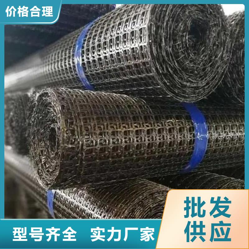 塑钢土工格栅厂家批发价价格