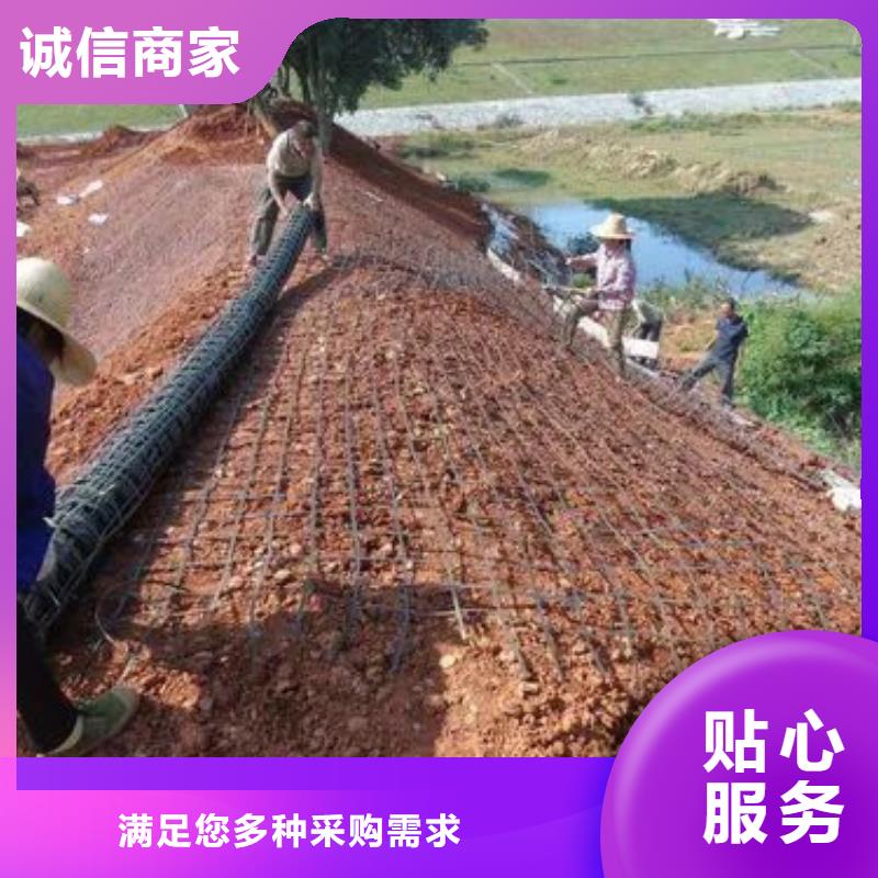 玻纖格柵圖片實體大廠