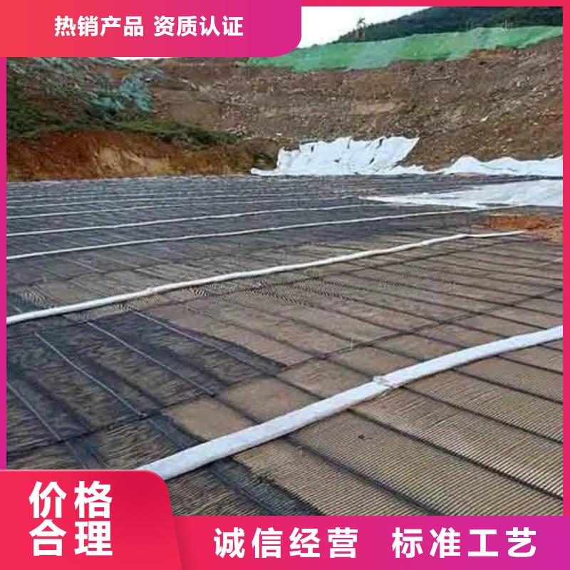 土工格栅土工膜支持定制