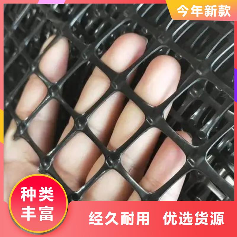 鋼塑土工格柵實力廠家電話
