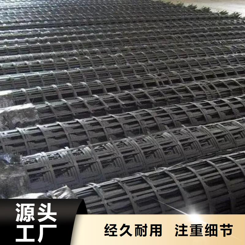 鋼塑土工格柵圖片廠家