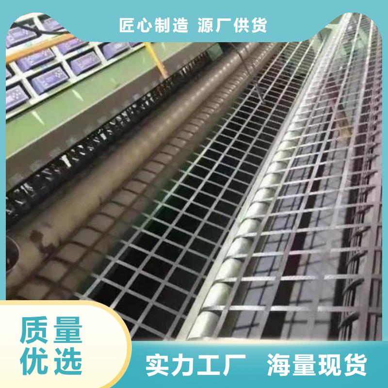 單向土工格柵價(jià)格行情廠家
