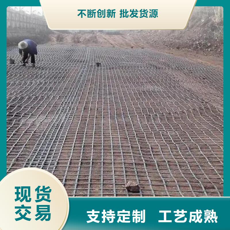 三維土工格柵在線報價廠家