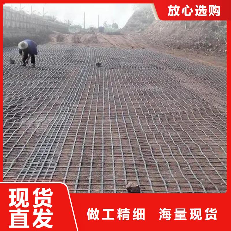 土工格栅厂家价格厂家