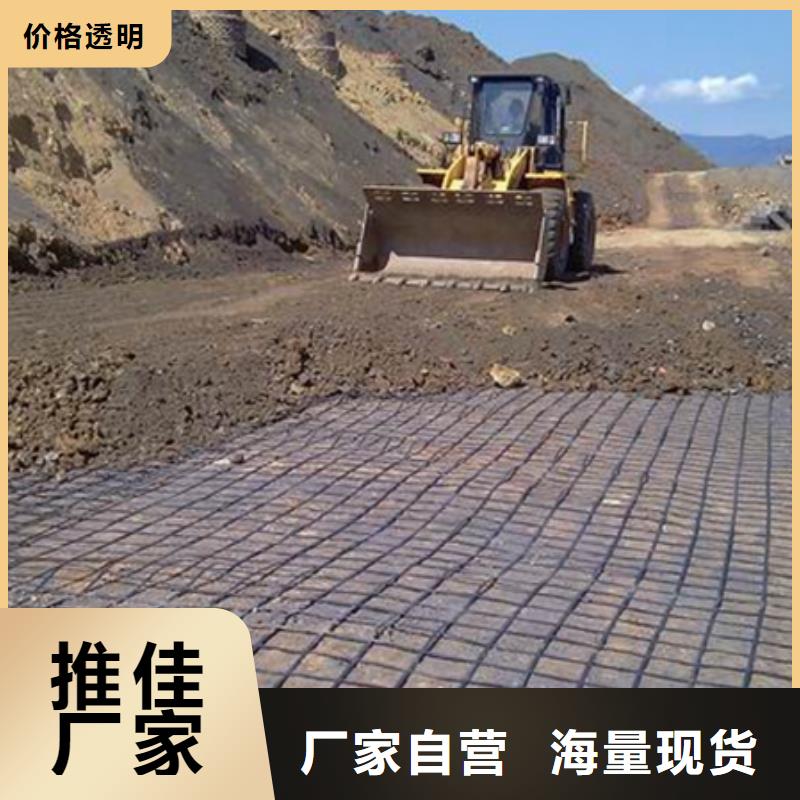 【土工格栅】-土工席垫支持货到付清当地厂家