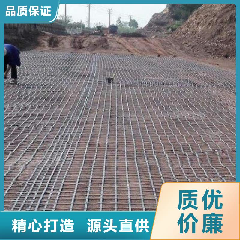 塑钢土工格栅厂家批发价价格