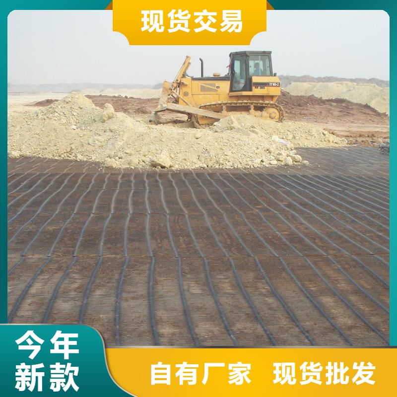 单向土工格栅价格行情厂家