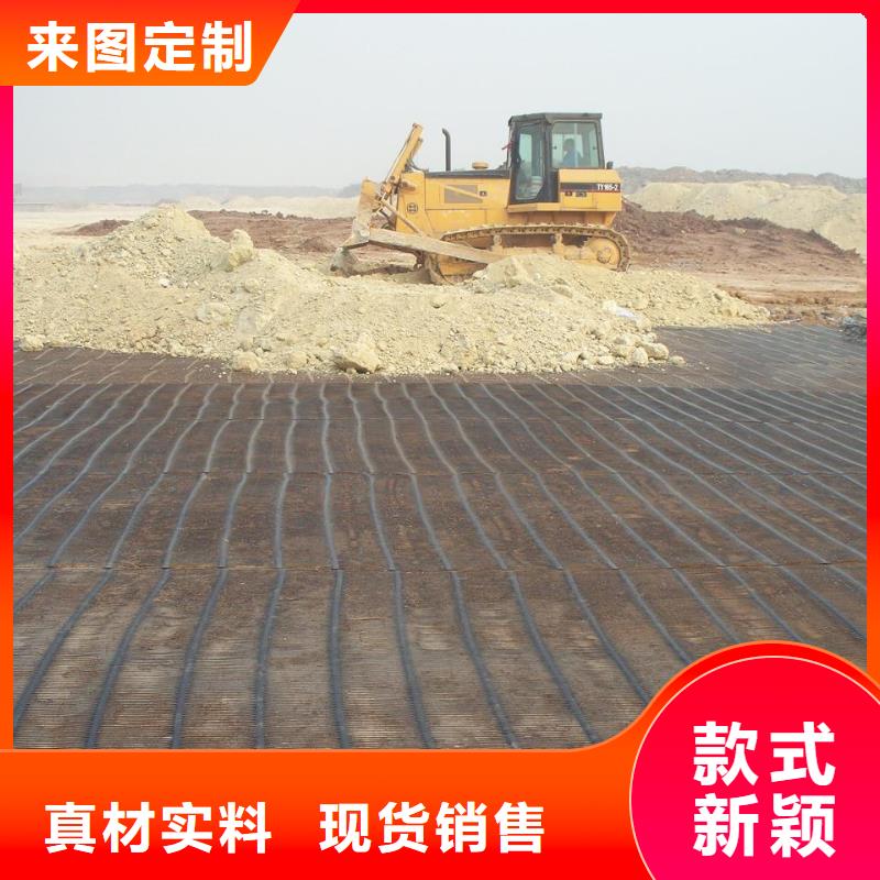 紫铜止水片金鸿耀土工格栅【聚丙烯纤维生产厂家】极速发货