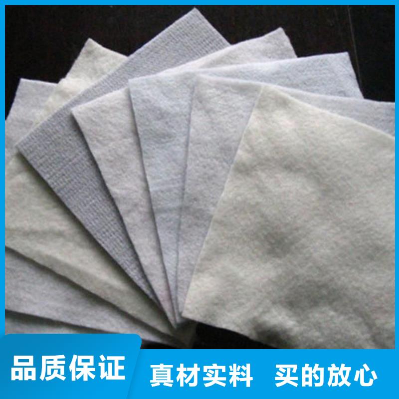 【土工布pp杜拉纖維種類齊全】