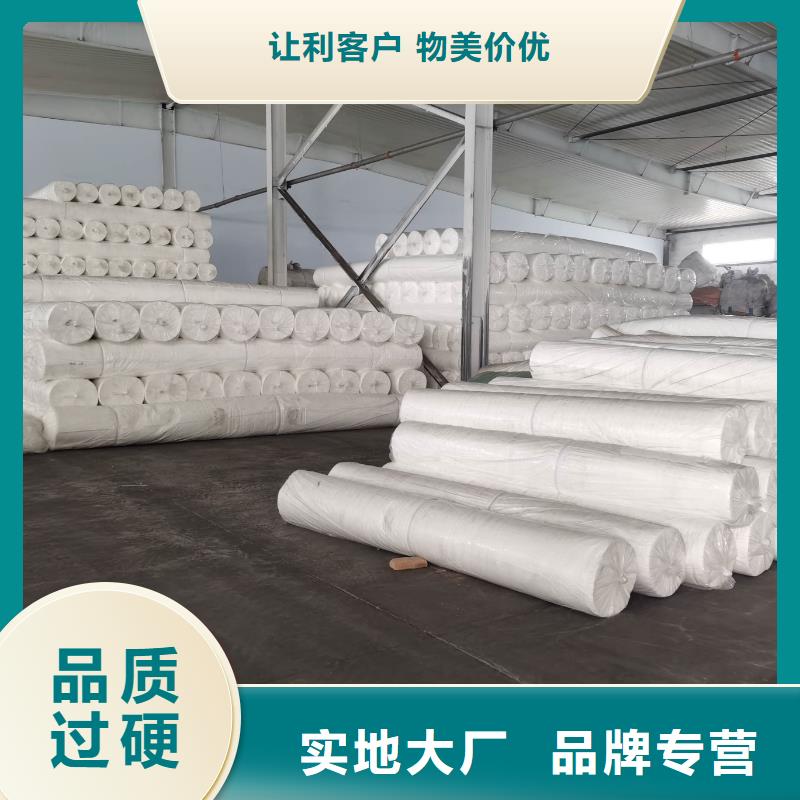 【土工布pp杜拉纖維種類齊全】
