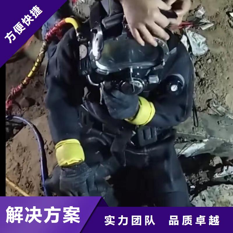 水下闸门清理产品案例
