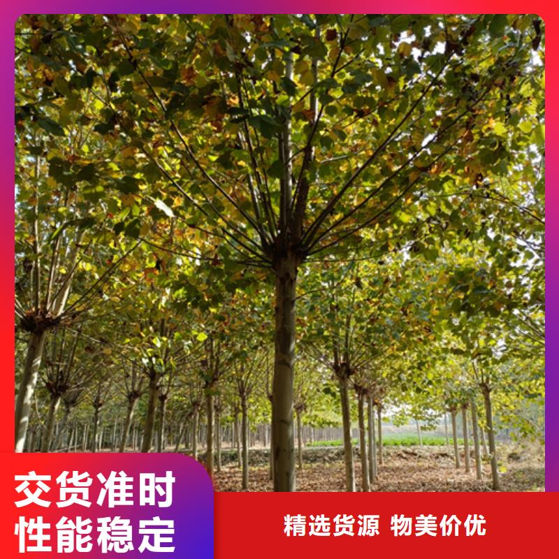 法桐国标检测放心购买