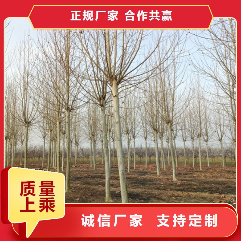法桐做工细致