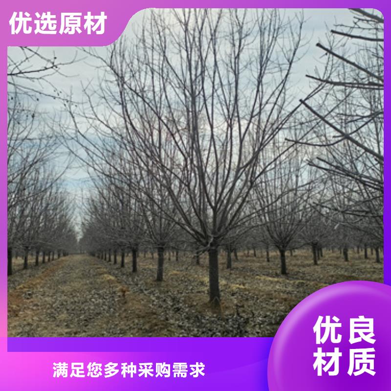 法桐国标检测放心购买