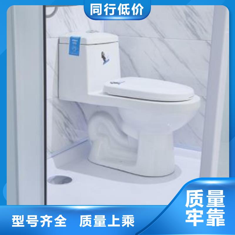 《安庆》经营支持定制的旱改厕供货商