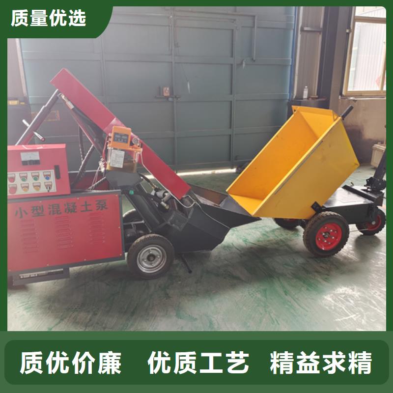 二次構(gòu)造柱泵小型混凝土輸送泵品質(zhì)值得信賴